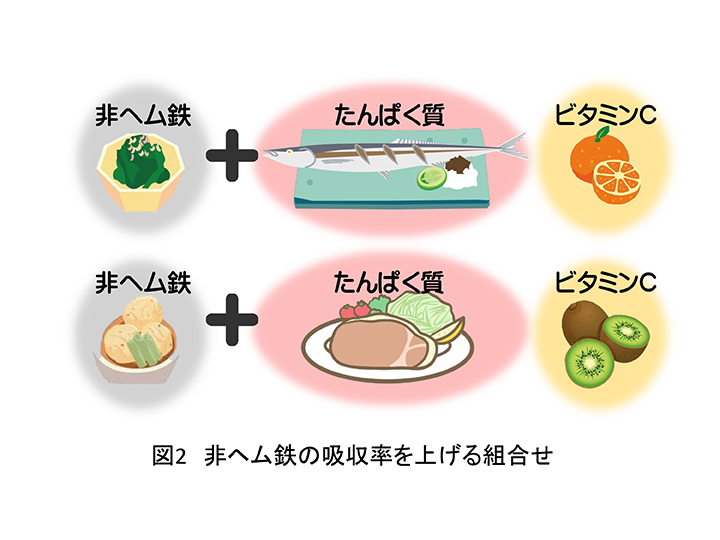 スポーツ栄養情報(第2回 貧血予防のための食事) 東京マラソン2021 スポーツ栄養情報(第2回 貧血予防のための食事) 東京マラソン2021