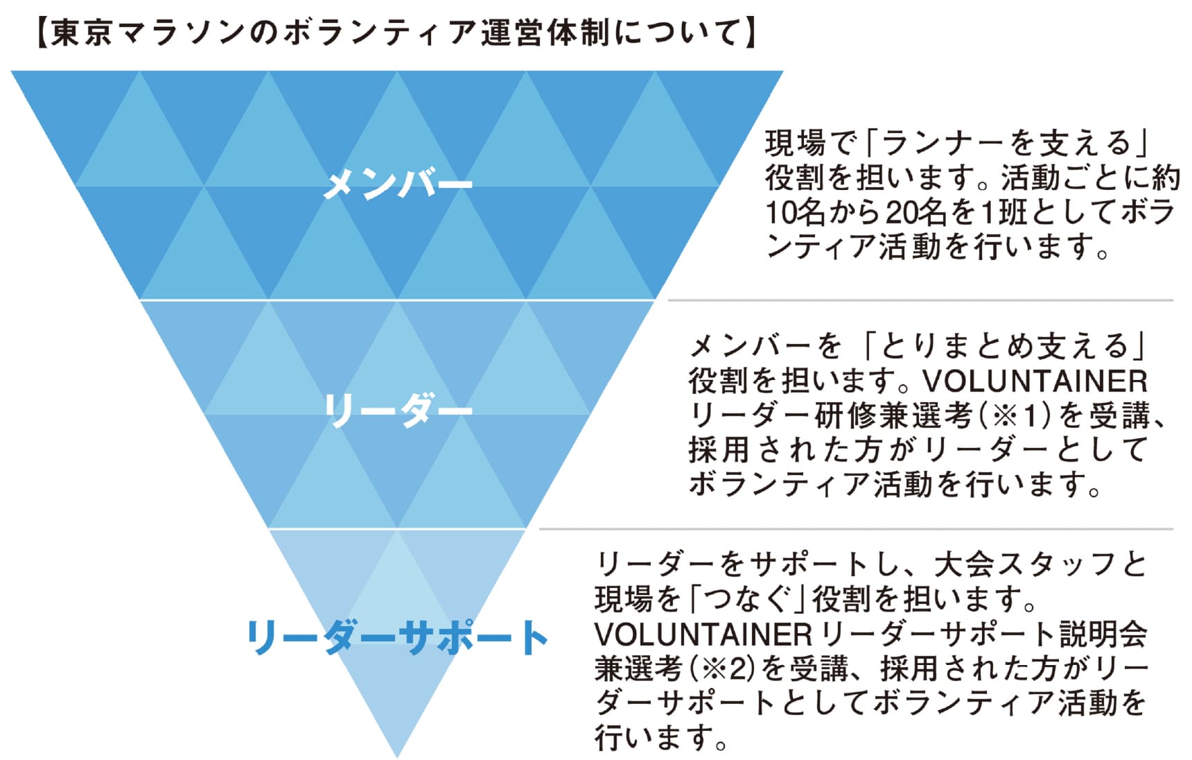 ボランティア運営体制